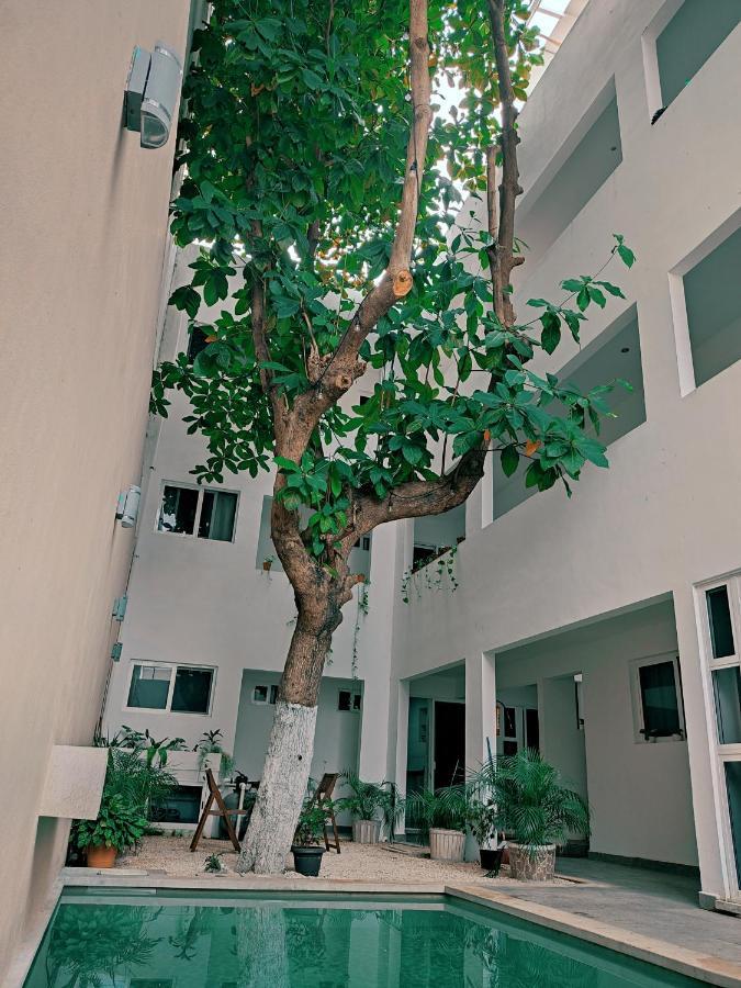 بلايا ديل كارمن Cozy Studios Zazil-Ha المظهر الخارجي الصورة